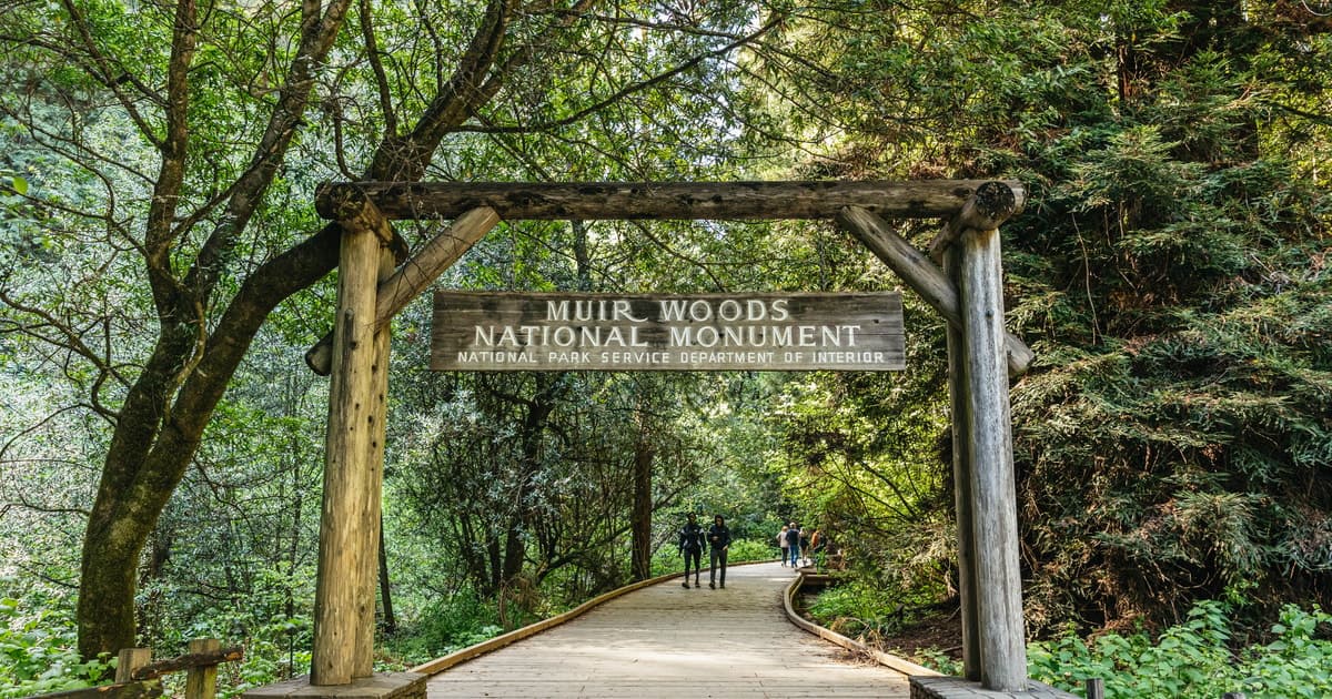 San Francisco: tour guiado de Muir Woods con viaje de ida y vuelta