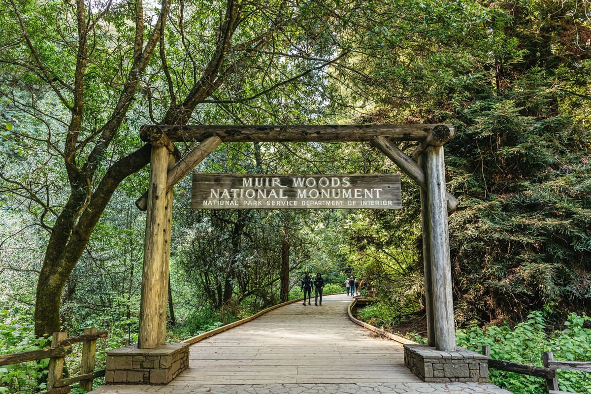 San Francisco: tour guiado de Muir Woods con viaje de ida y vuelta