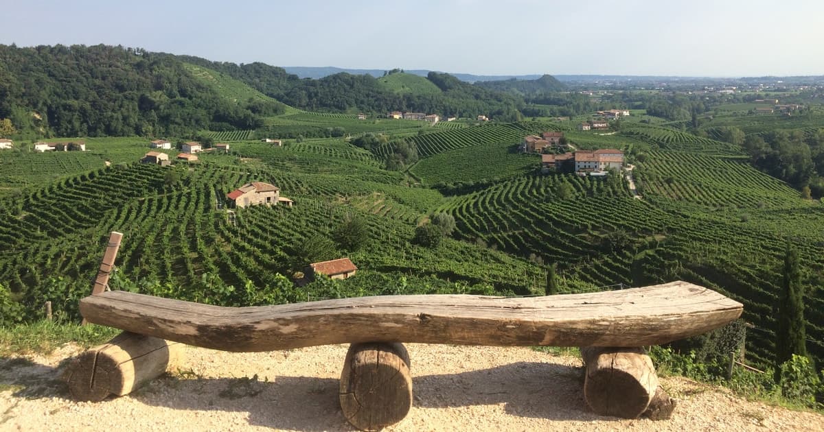Venice: wine tour tasting along the Unesco Prosecco hills