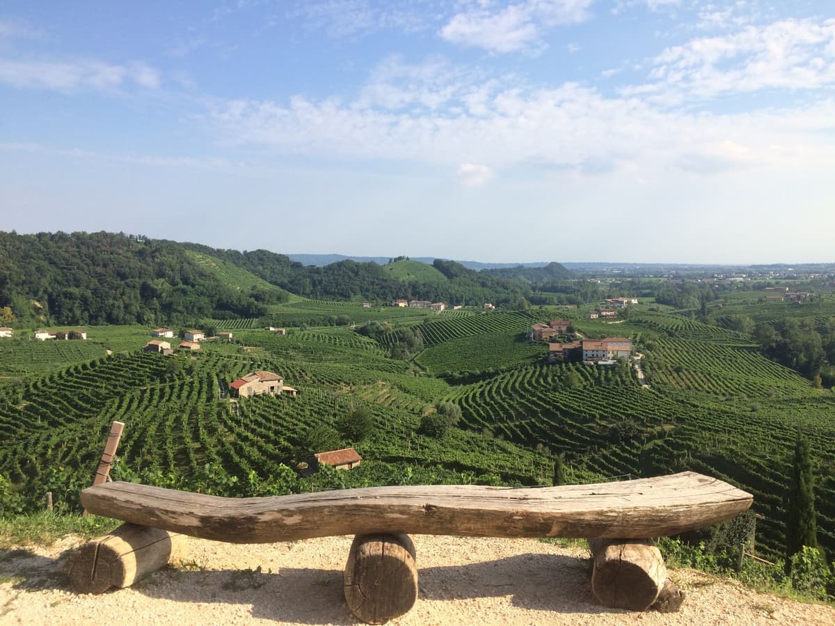 Venice: wine tour tasting along the Unesco Prosecco hills