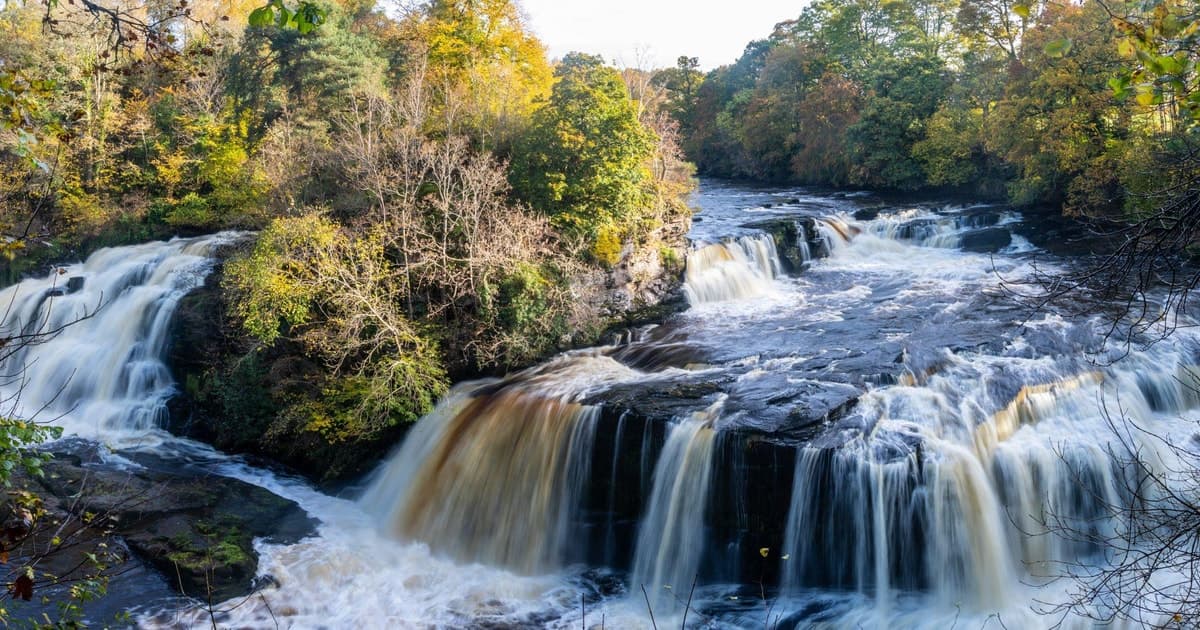 Hike World Heritage Reserve Waterfalls