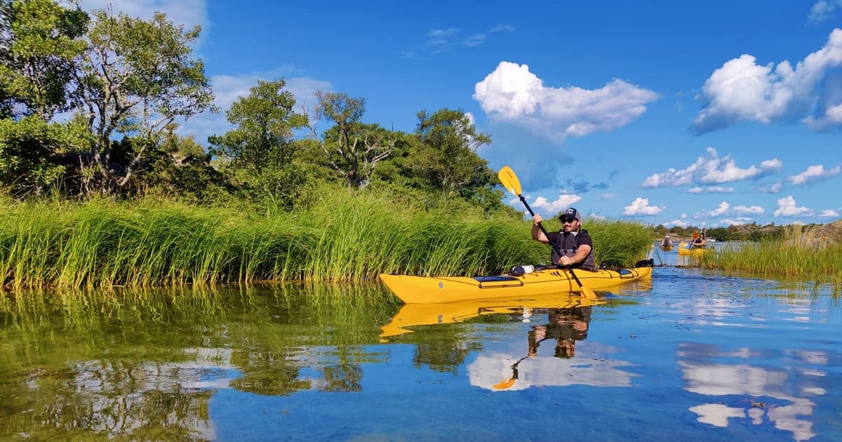 Archipiélago de Estocolmo: día divertido en kayak con almuerzo en una isla
