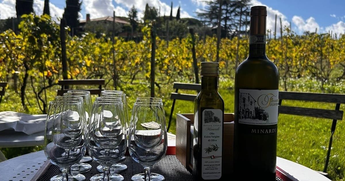 From Rome: Wine Tour & Farmhouse Lunch in the Vineyard