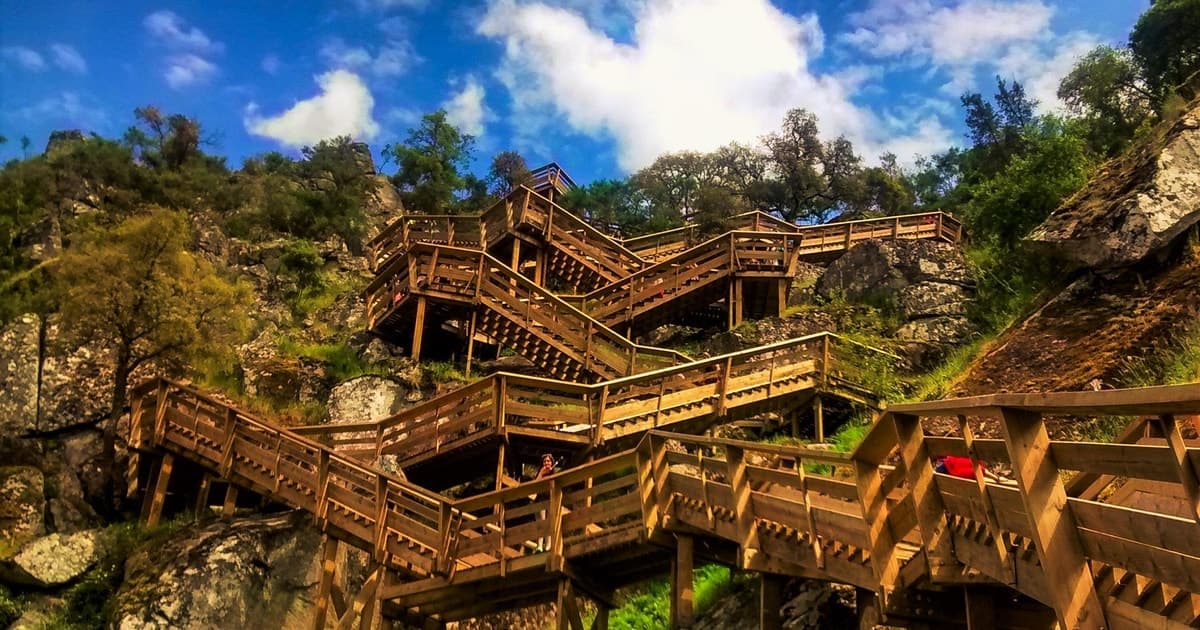 From Porto: Aveiro, Paiva Walkways, & Suspension Bridge Tour