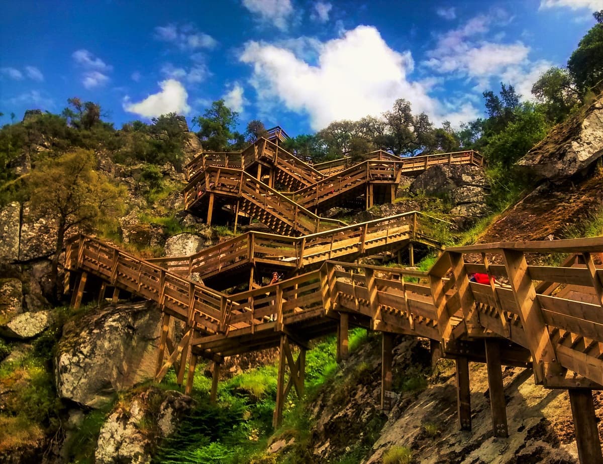 From Porto: Aveiro, Paiva Walkways, & Suspension Bridge Tour