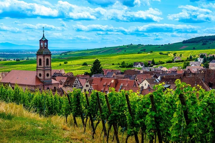 Excursión en vino de Alsacia de medio día desde Colmar