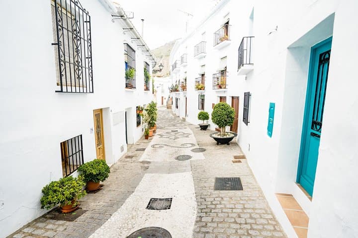 Excursión de un día a Nerja y Frigiliana sin colas desde Granada (máx. 8)