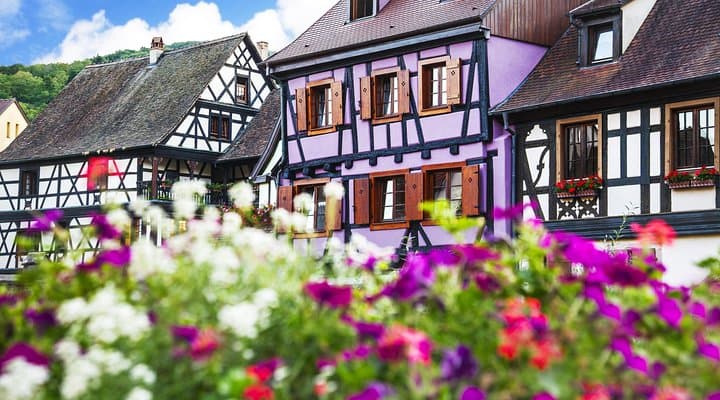 Excursión de medio día a los pueblos de Alsacia desde Colmar