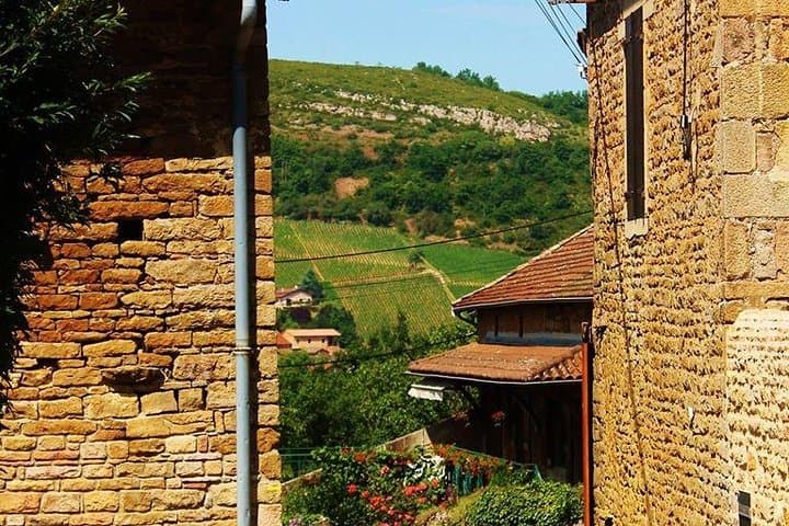 Excursiones desde Lyon