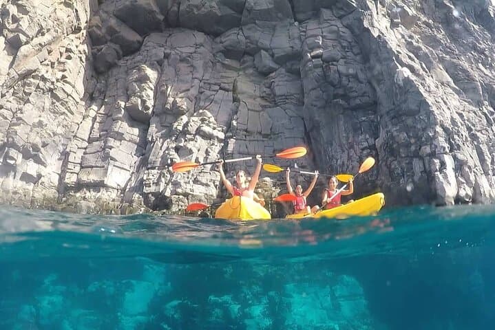 Safari en kayak con avistamiento de delfines y tortugas desde Los Cristianos