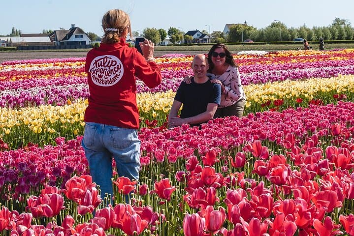 Keukenhof Gardens & Tulip Experience Tour from Amsterdam