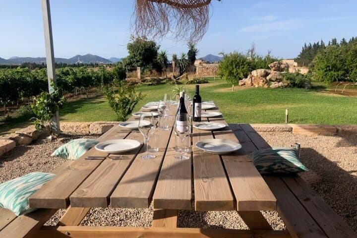 Visitas Guiadas en Palma de Mallorca