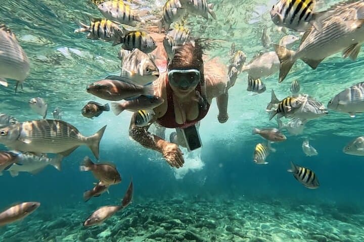 Excursión Islas de Rosario y Playa Blanca con Snorkel o Acuario