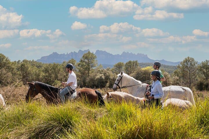 Beach Horseback Riding near Barcelona