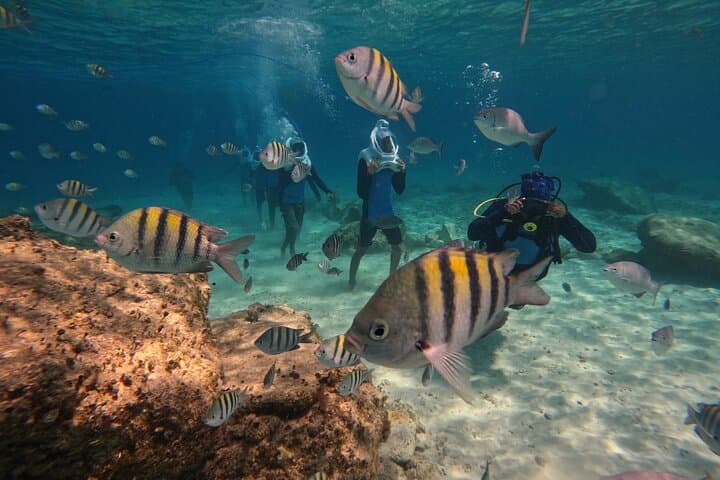 Paseo submarino Sea Trek en Tenerife – No se requiere natación