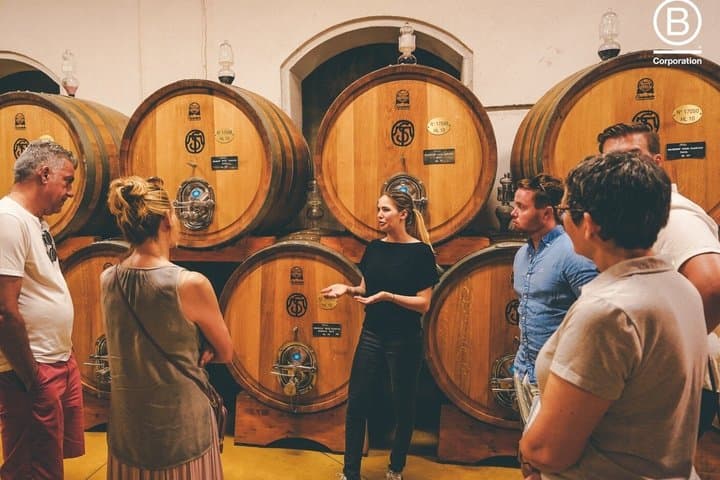 Tour de cata de vinos Amarone desde Verona con transporte privado