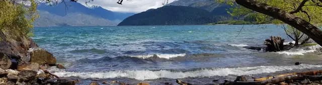 Free Tour en Lago Puelo