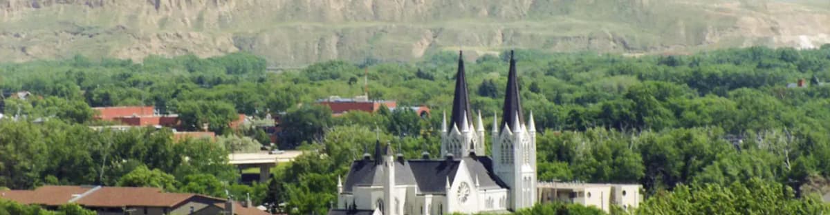 p19071-medicine-hat