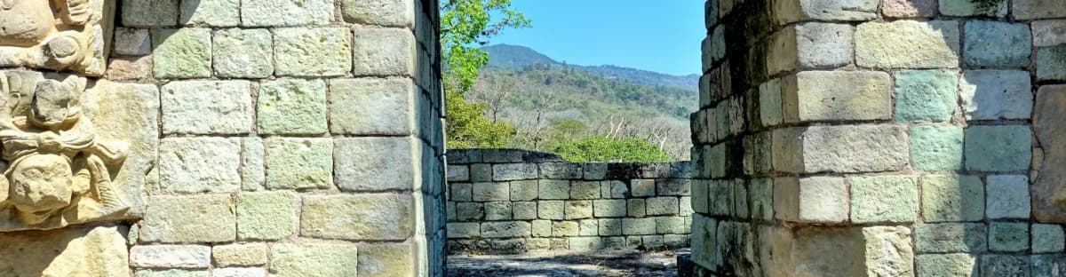p16749-copan