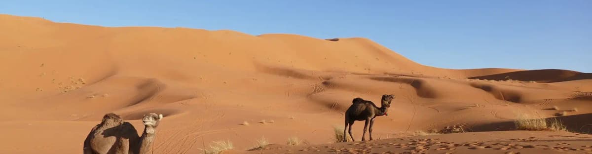merzouga