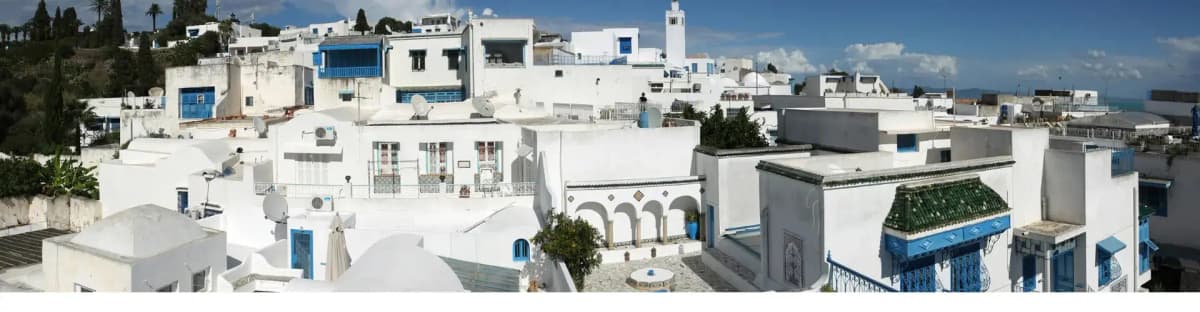 p34161-sidi-bou-said