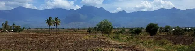 Free walking tour in Morogoro