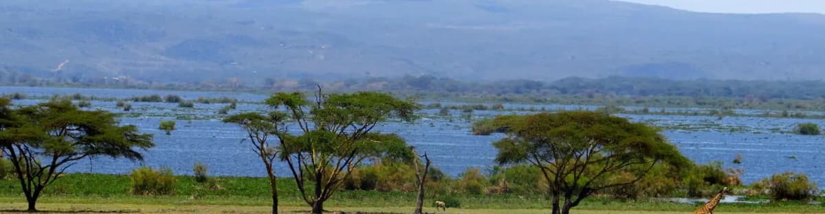 naivasha