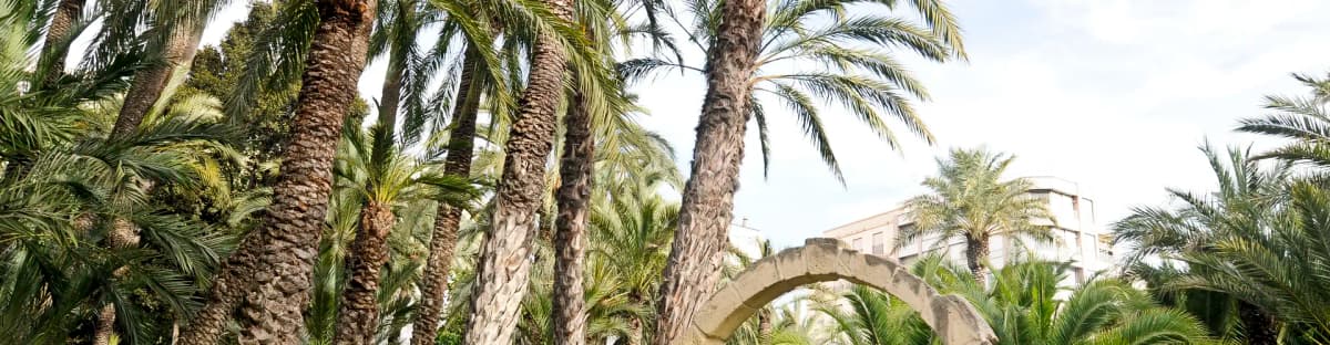 elche