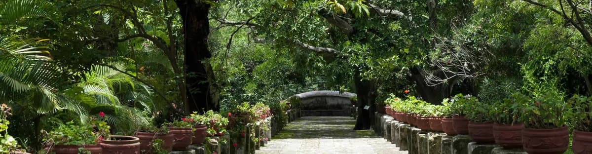cuernavaca