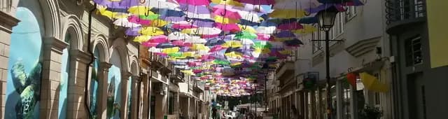 Free tour Águeda