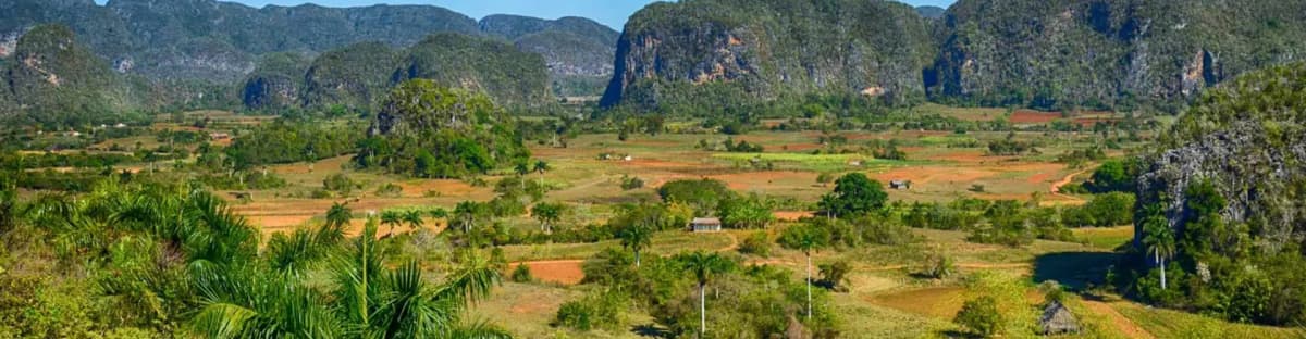 vinales