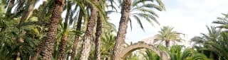 Free tour en español Elche