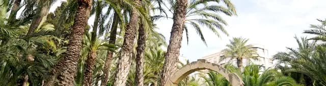 Elche