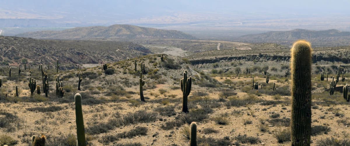 Excursiones desde Salta