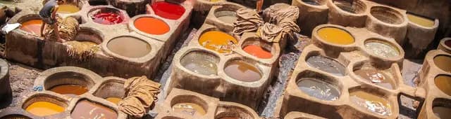 Free tour a Fes
