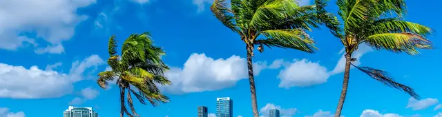 Free Tour en Miami Beach