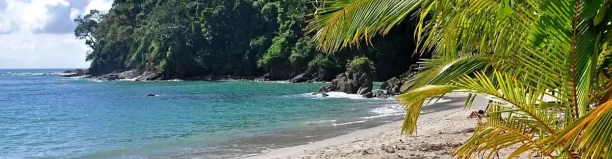 p43947-manuel-antonio
