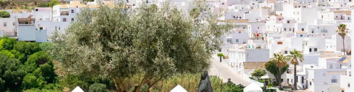 vejer-de-la-frontera