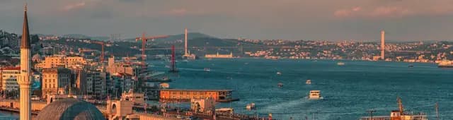Bursa