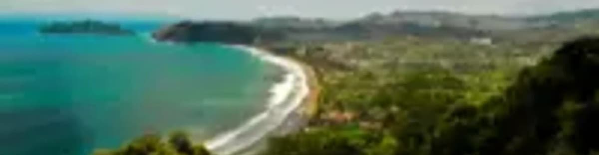 p14960-jaco