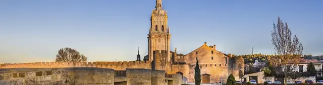 Free Tour en El Burgo de Osma