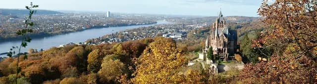 Free walking tour in Bonn