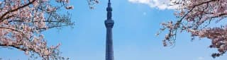Free tours Tokio
