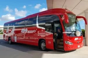 Bus turístico en Cancún