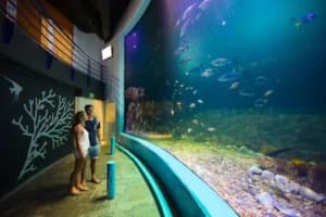 Museos interactivos en Cancún