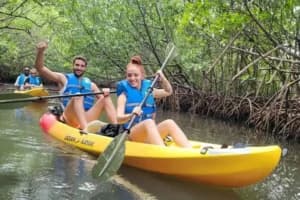 Paddle surf en Miami