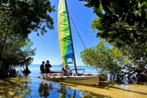 Catamarán en Miami