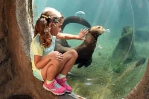 Zoológico en Miami