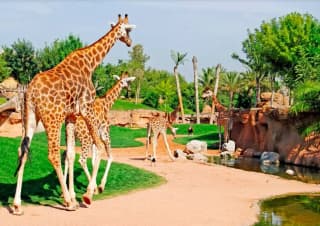 Excursiones en Valencia
