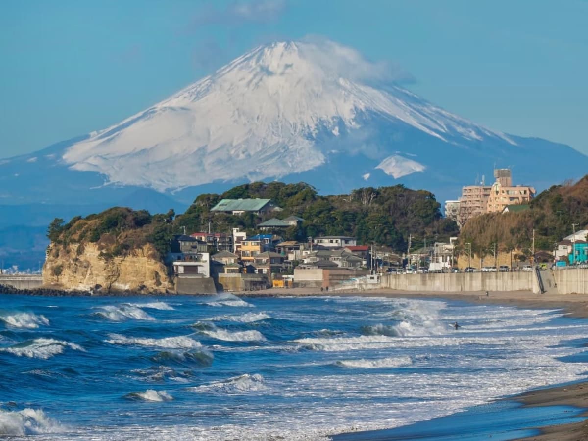 Tokyo: Kamakura Hydrangea Tour with Local Host